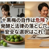 十黒梅の作り方を調べる前に知るべき自作の危険性と安全な選び方
