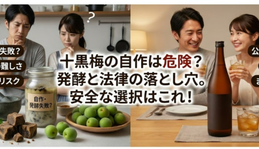 十黒梅の作り方を調べる前に知るべき自作の危険性と安全な選び方